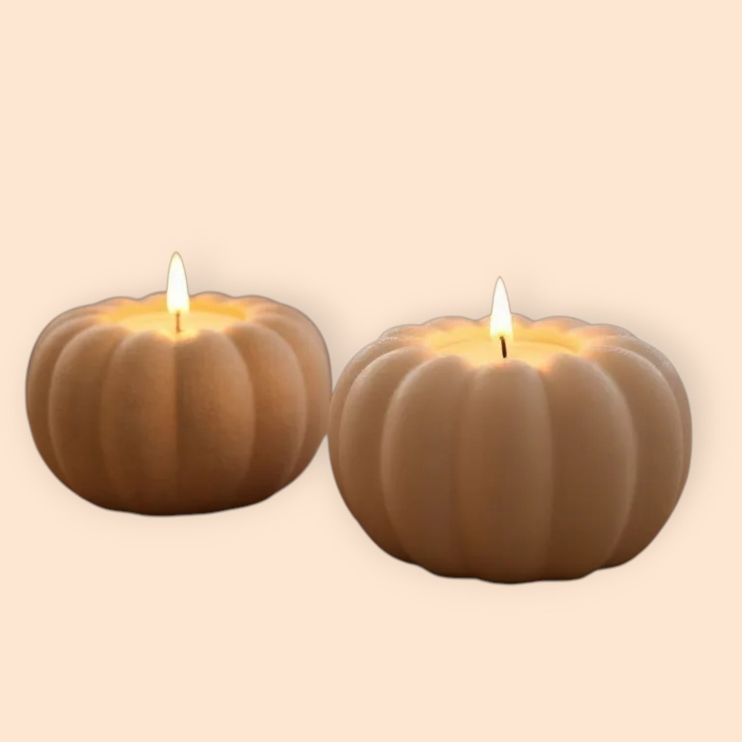 Autumn Pumpkin LED Tealight Holder 2pk